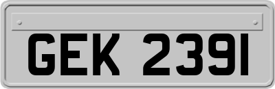 GEK2391