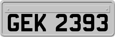 GEK2393