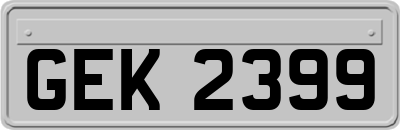 GEK2399
