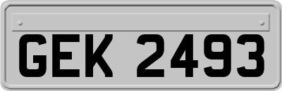 GEK2493