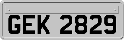 GEK2829