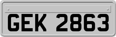 GEK2863