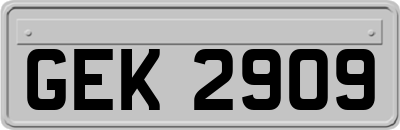 GEK2909