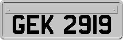 GEK2919