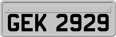 GEK2929