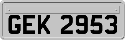 GEK2953