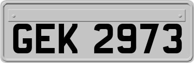 GEK2973
