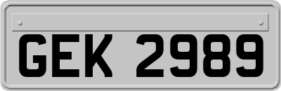 GEK2989