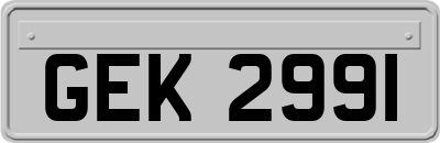 GEK2991
