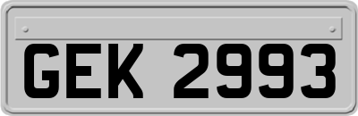 GEK2993
