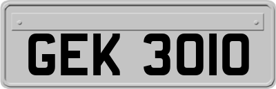 GEK3010