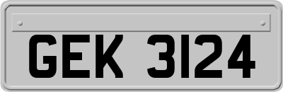 GEK3124