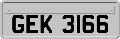 GEK3166