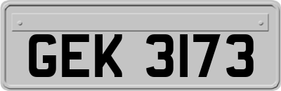 GEK3173