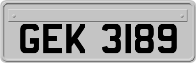 GEK3189