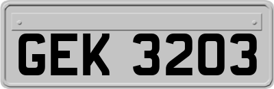 GEK3203