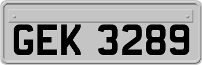 GEK3289