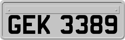 GEK3389