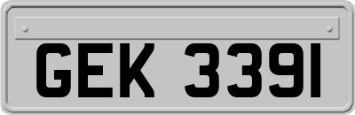 GEK3391