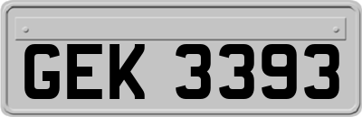 GEK3393