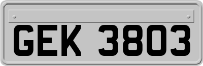 GEK3803