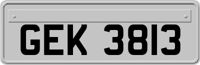 GEK3813