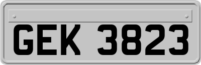 GEK3823