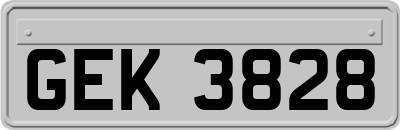 GEK3828