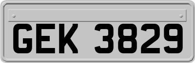 GEK3829