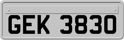 GEK3830
