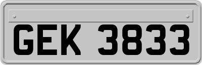 GEK3833