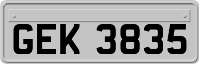 GEK3835