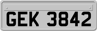 GEK3842