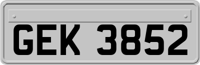 GEK3852