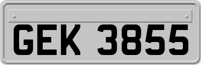 GEK3855