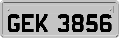 GEK3856