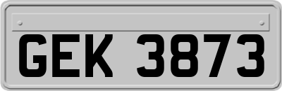 GEK3873