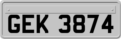 GEK3874
