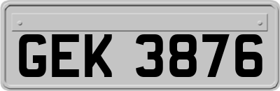 GEK3876