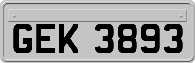 GEK3893
