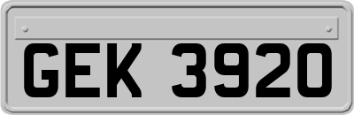GEK3920