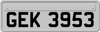 GEK3953