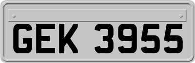GEK3955
