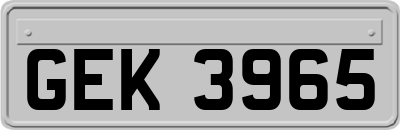 GEK3965