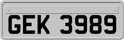 GEK3989
