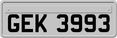 GEK3993