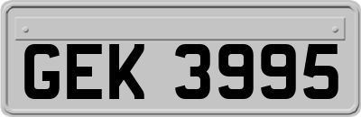 GEK3995