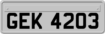 GEK4203