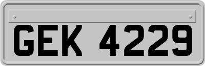 GEK4229