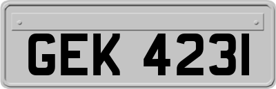 GEK4231
